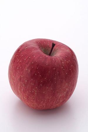 イケメン揃いの人気のホストクラブ