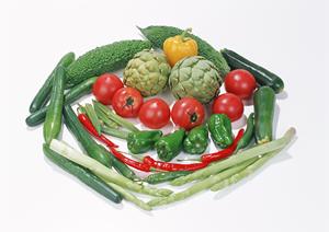 希望店を自由に選べるコンパニオン派遣